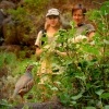 Orebice poustni - Alectoris barbara - Barbary Partridge  1484